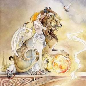 Meet your Posher, Dawn